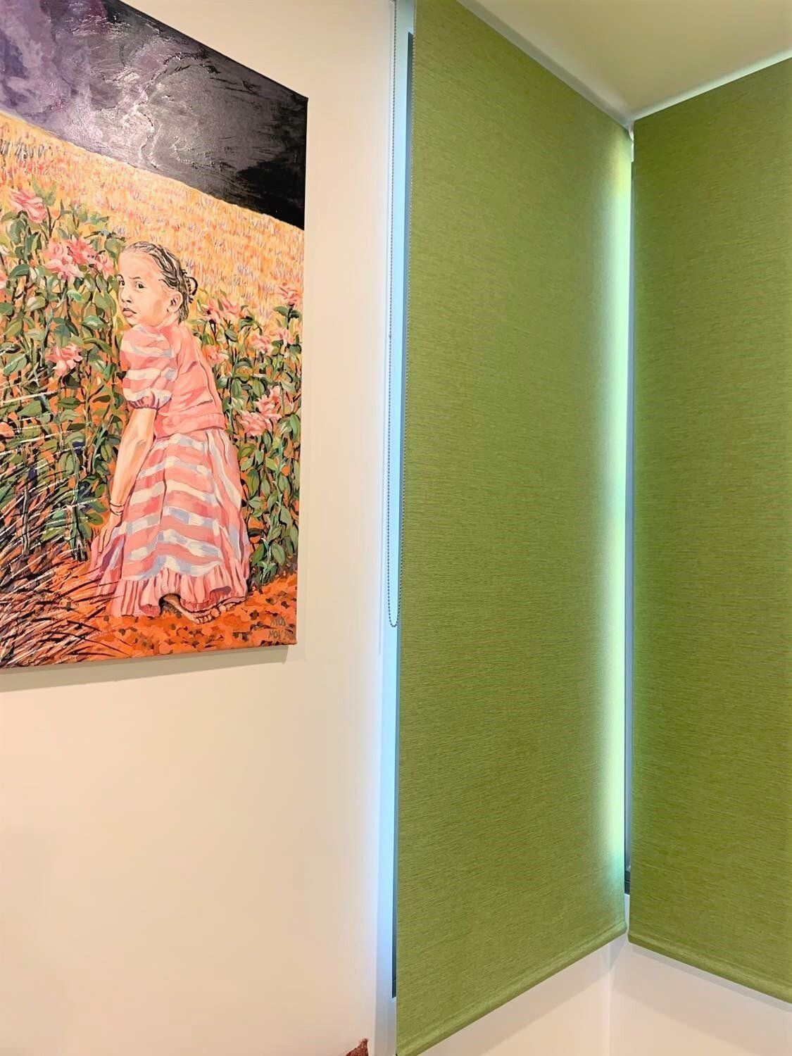 A Painting of A Girl in A Pink Dress Next to Green Textured Panels — Alice Mobile Blinds in Ciccone, NT