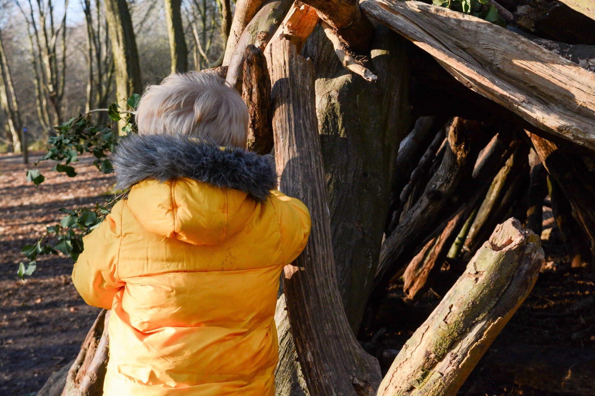 Building Blocks Nursery & Kids Club in Teddington (Fulwell Road)