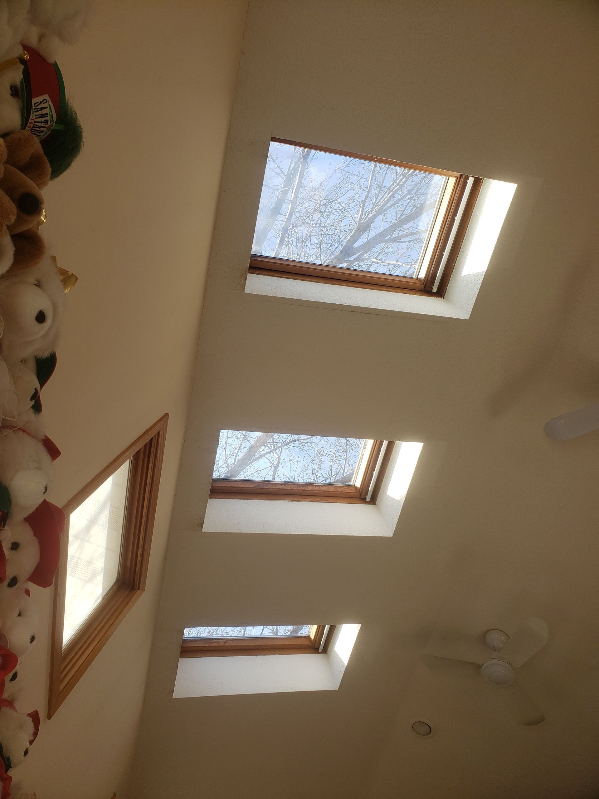 A room with three skylights and stuffed animals on the floor