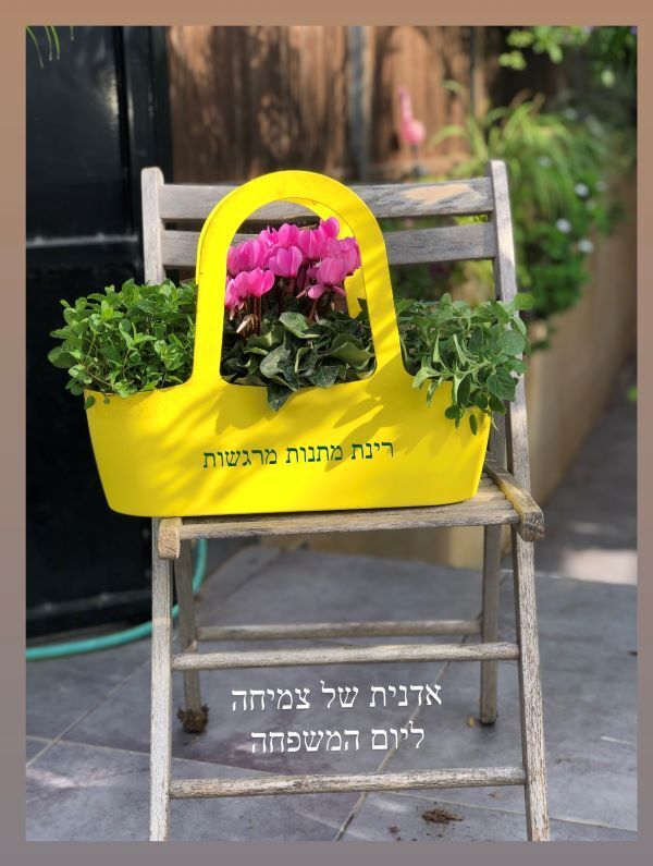 אדנית פורחת ליום המשפחה