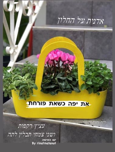 אדנית פריחה
