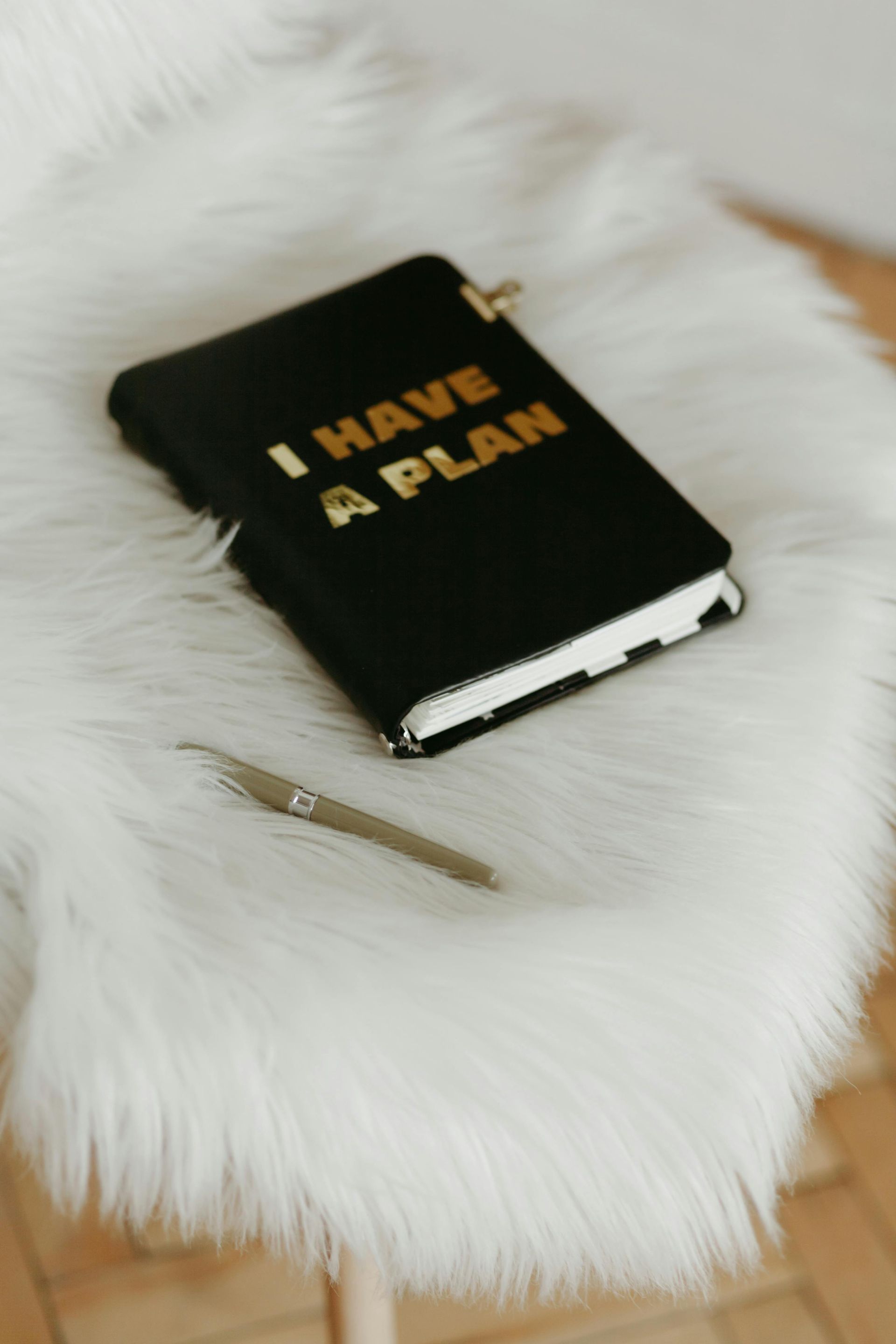 Black planner with "I HAVE A PLAN" in gold letters, resting on a white fuzzy surface with a silver pen.
