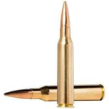 A close up of two bullets on a white background.
