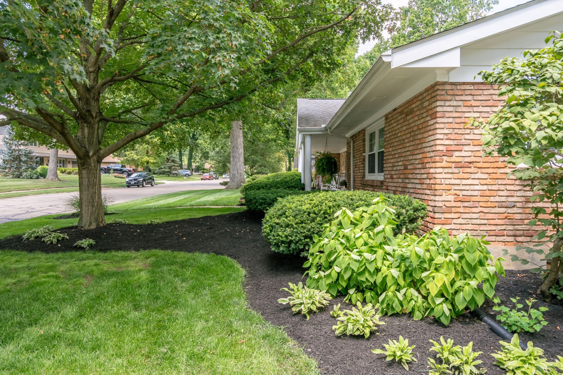 Lawn with fresh mulch and green bushes bordering a brick house under a leafy tree.