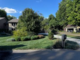 brackman-lawn-and-landscaping-project-and-seasonal-services-image