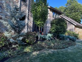 brackman-lawn-and-landscaping-tree-removal-and-land-clearing-image