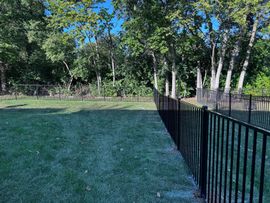 brackman-lawn-and-landscaping-lawn-care-and-maintenance-image