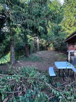 brackman-lawn-and-landscaping-tree-removal-and-land-clearing-image
