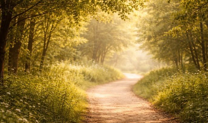 cremation services Canton Township, MI