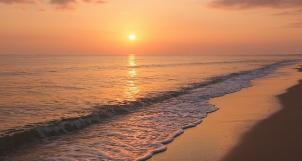 funeral homes in Plymouth Township, MI
