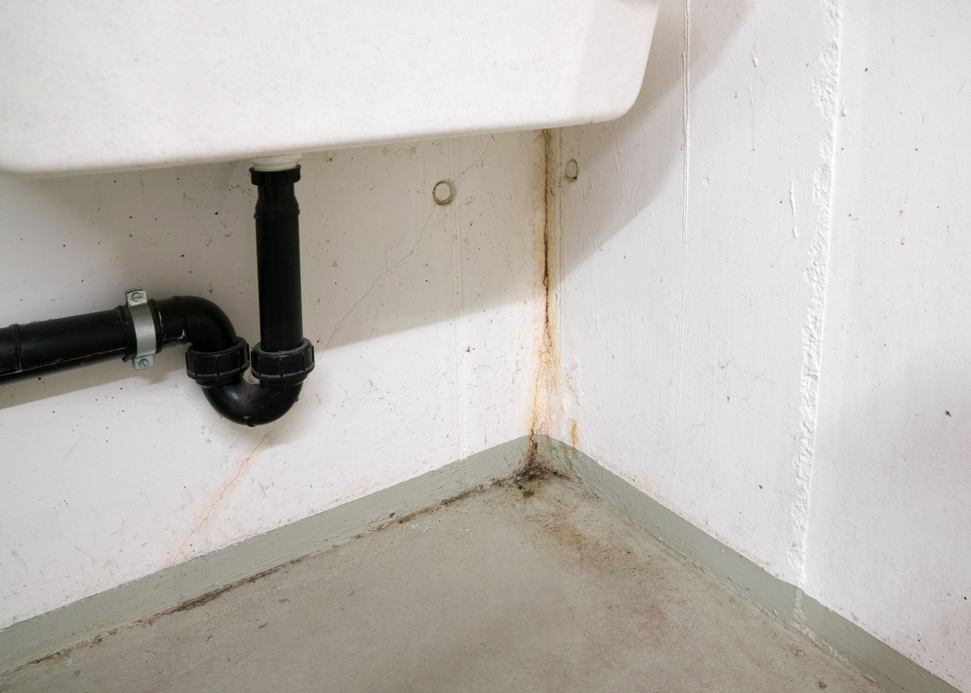 Mold spreading across a white interior wall under a sink