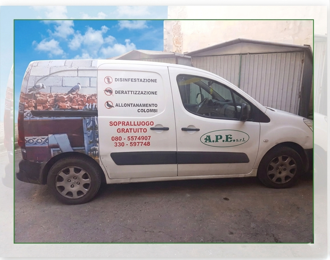 Approccio IPM Certificato A.P.E. srl