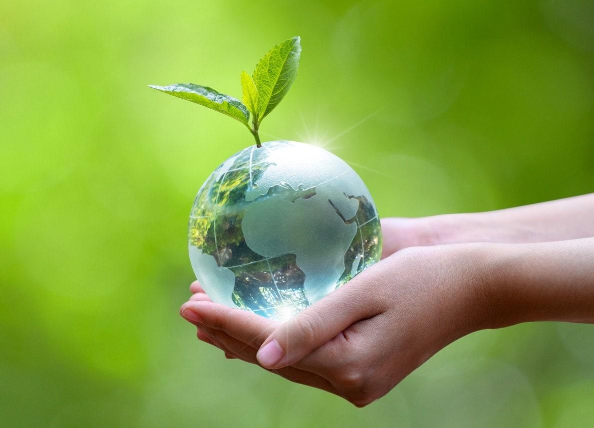 Operatori A.P.E. srl con procedure di smaltimento rifiuti speciali