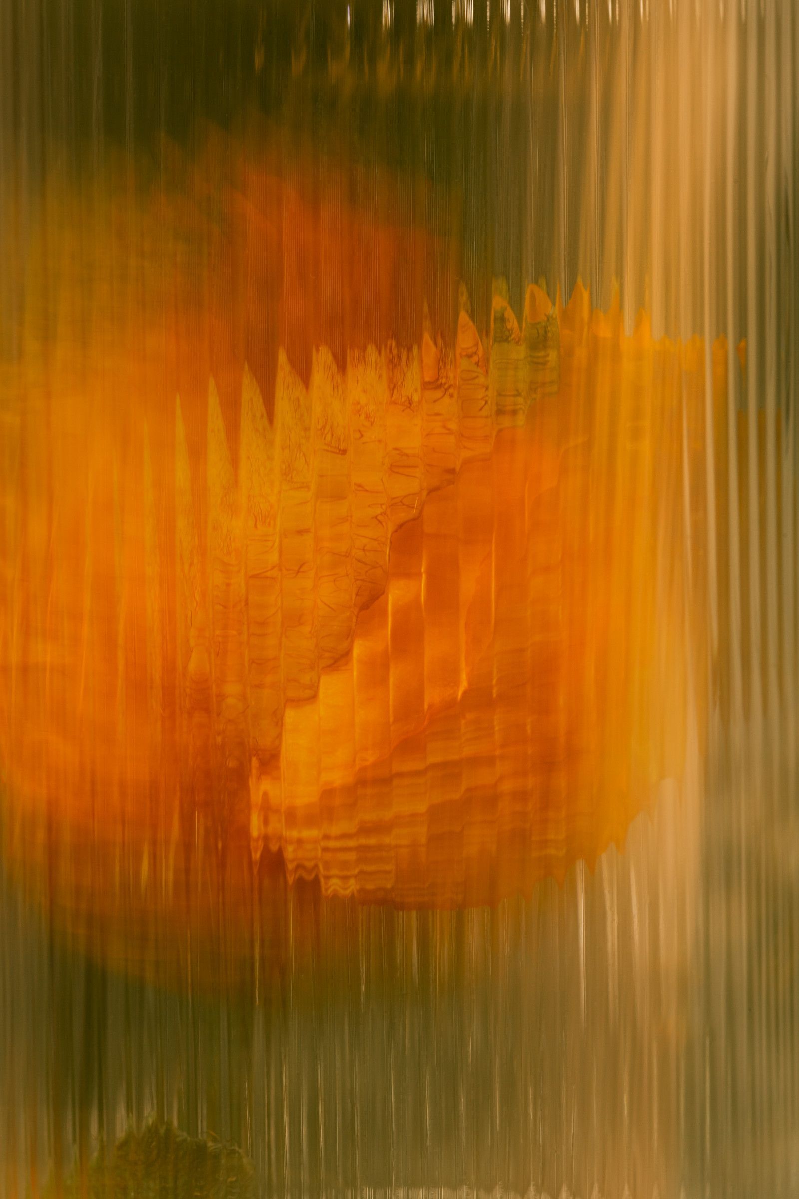 Orange flower with green background and vertical streaks