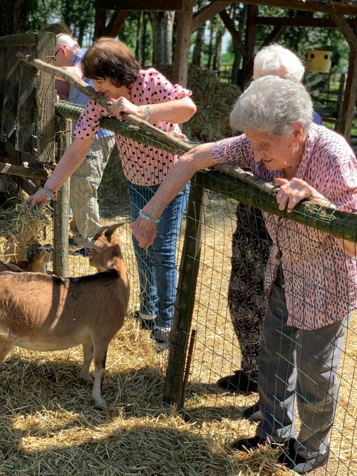 anziani accarezzano le caprette