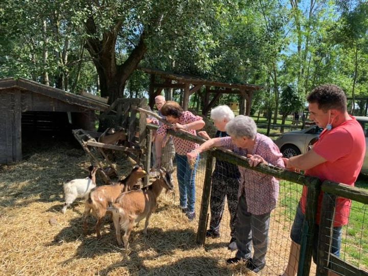 anziani danno da mangiare agli animali