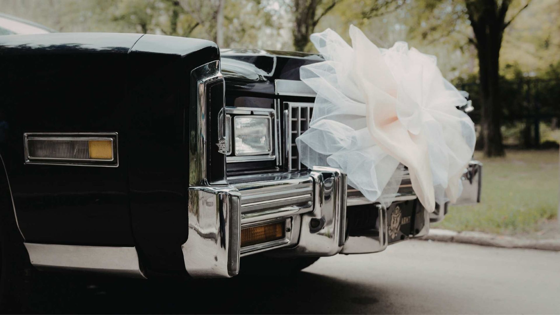 Black vintage car's front with a large white tulle bow, outdoors.