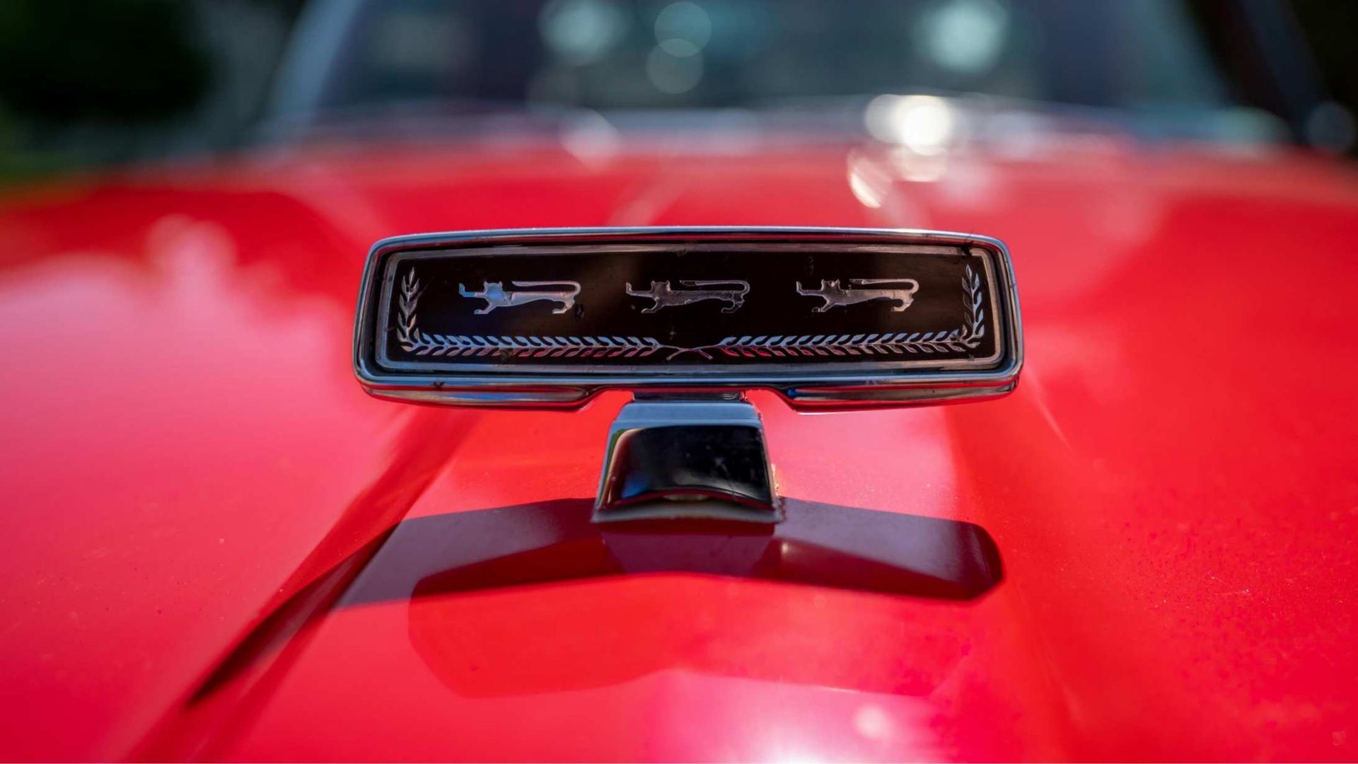 Red car hood with chrome emblem featuring three cougar figures.