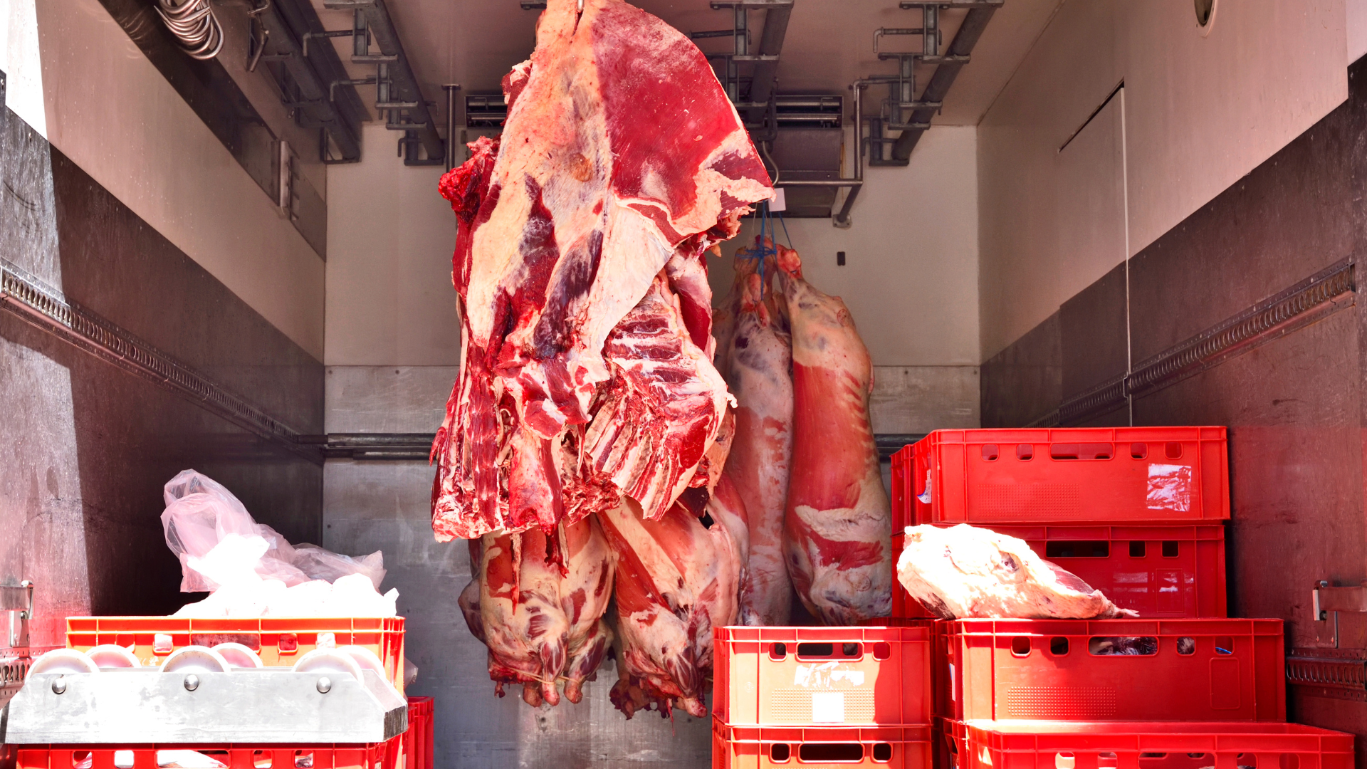 A large piece of meat is hanging from the ceiling of a truck.