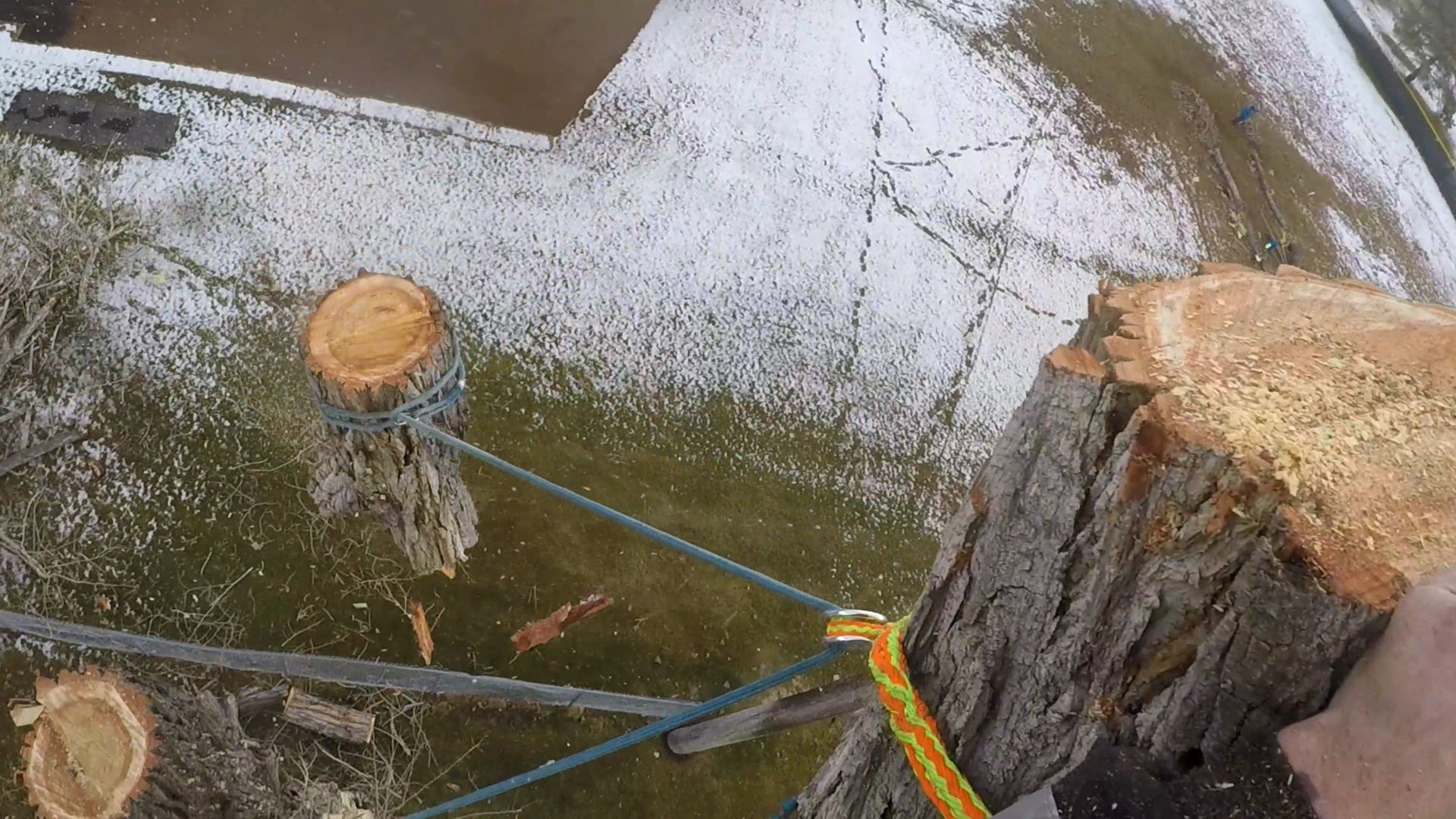 Tree Stump Removal Services | Salt Lake City, UT