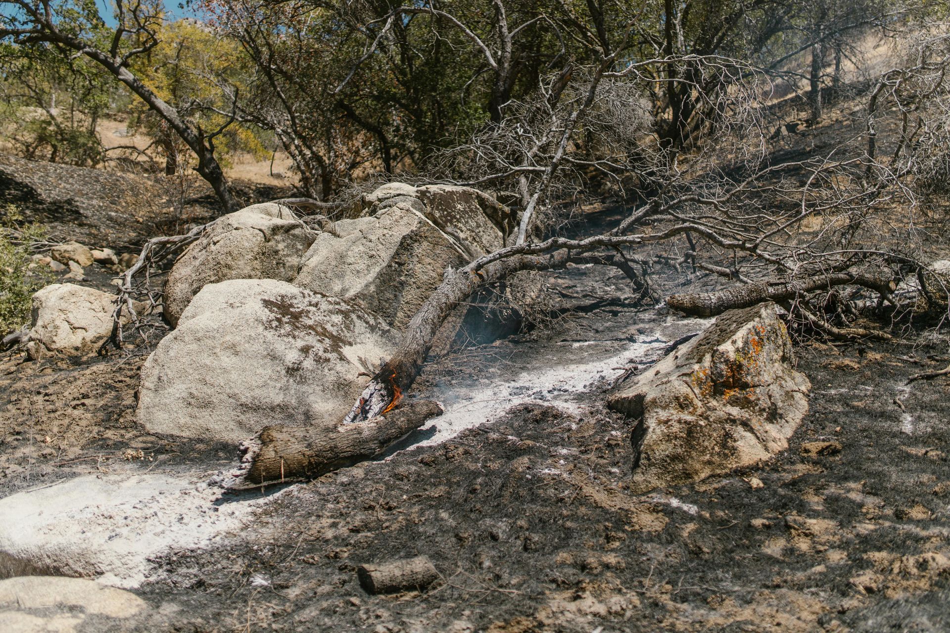 Desert scene with a small stream flowing over rocks and charred ground beneath sparse trees