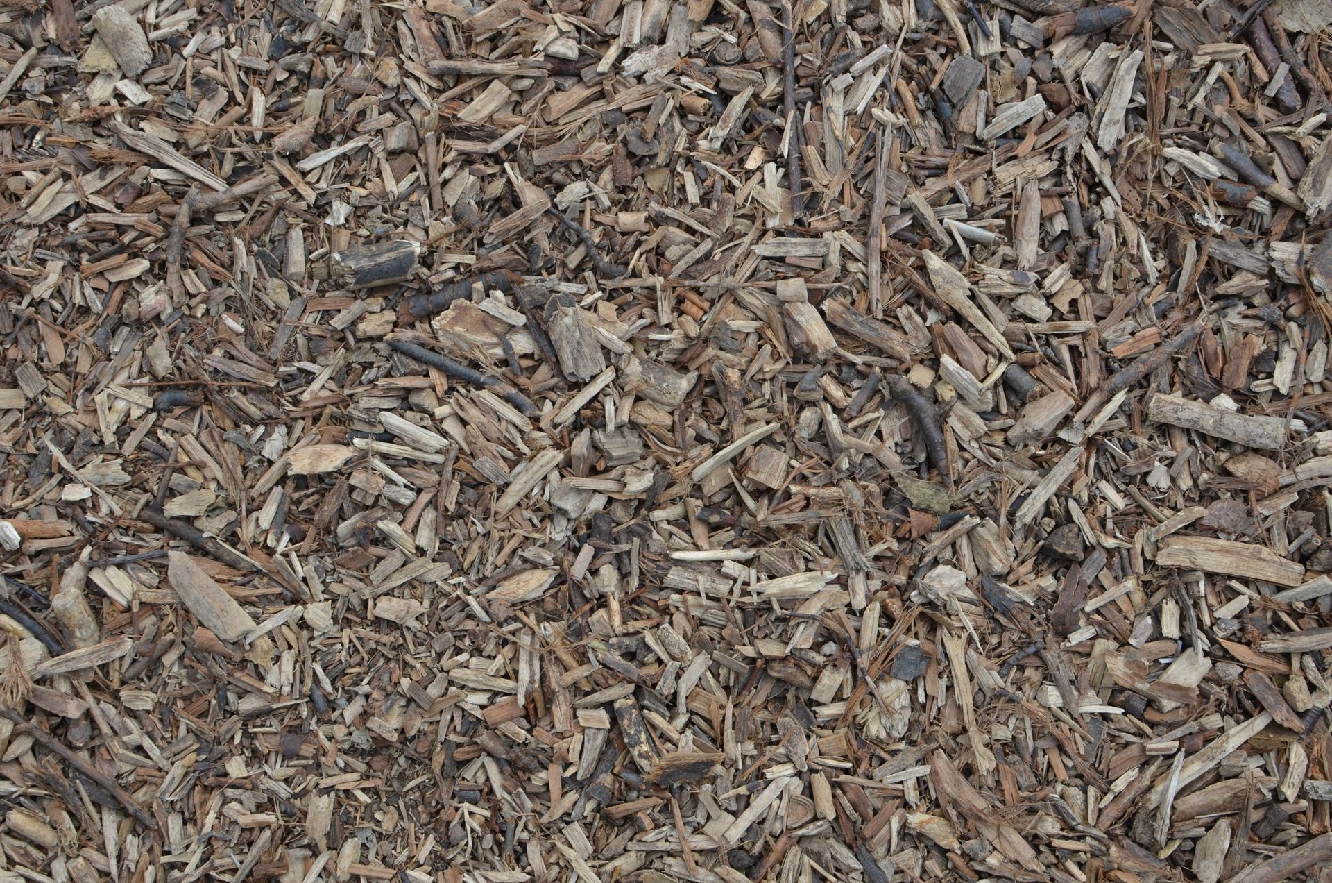 Close-up of brown wood chips scattered across the ground