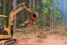 Yellow excavator clearing a tree stump in a forest, with dirt and roots flying