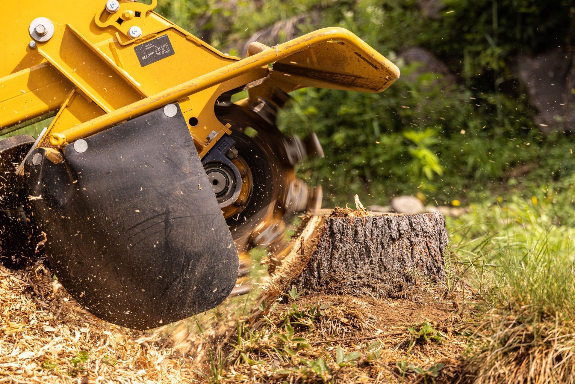 Yellow excavator bucket digging into a tree stump in a wooded area