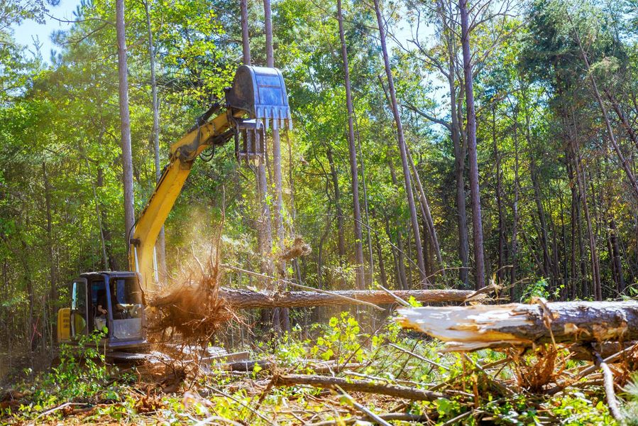 Yellow excavator clearing brush in a wooded area, tossing debris beside fallen logs.