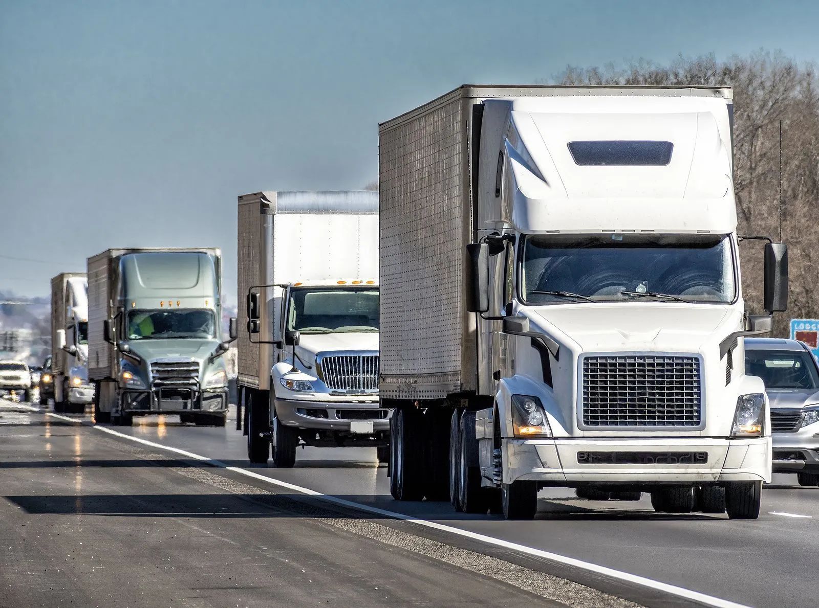 Trucks driving on a highway, transporting goods. Sunny day, bright white and gray vehicles.
