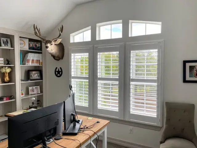 A deer head hangs above a desk in a home office Love is Blinds Arizona (844) 936-2446