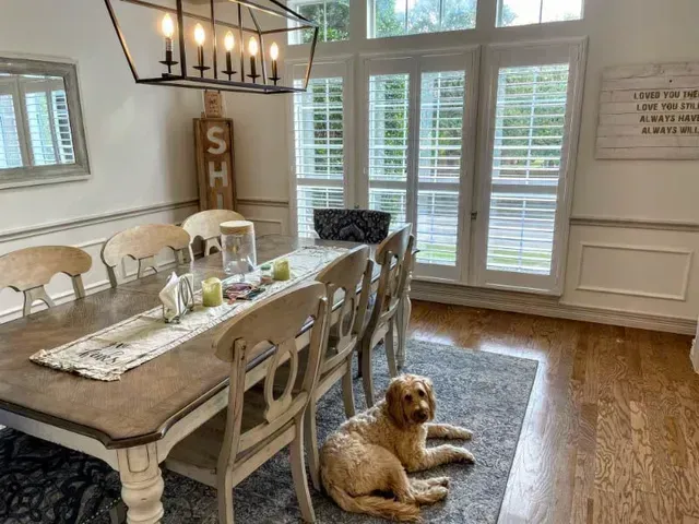 A dog is laying on the floor in a dining room next to a table. Love is Blinds Arizona (844) 936-2446