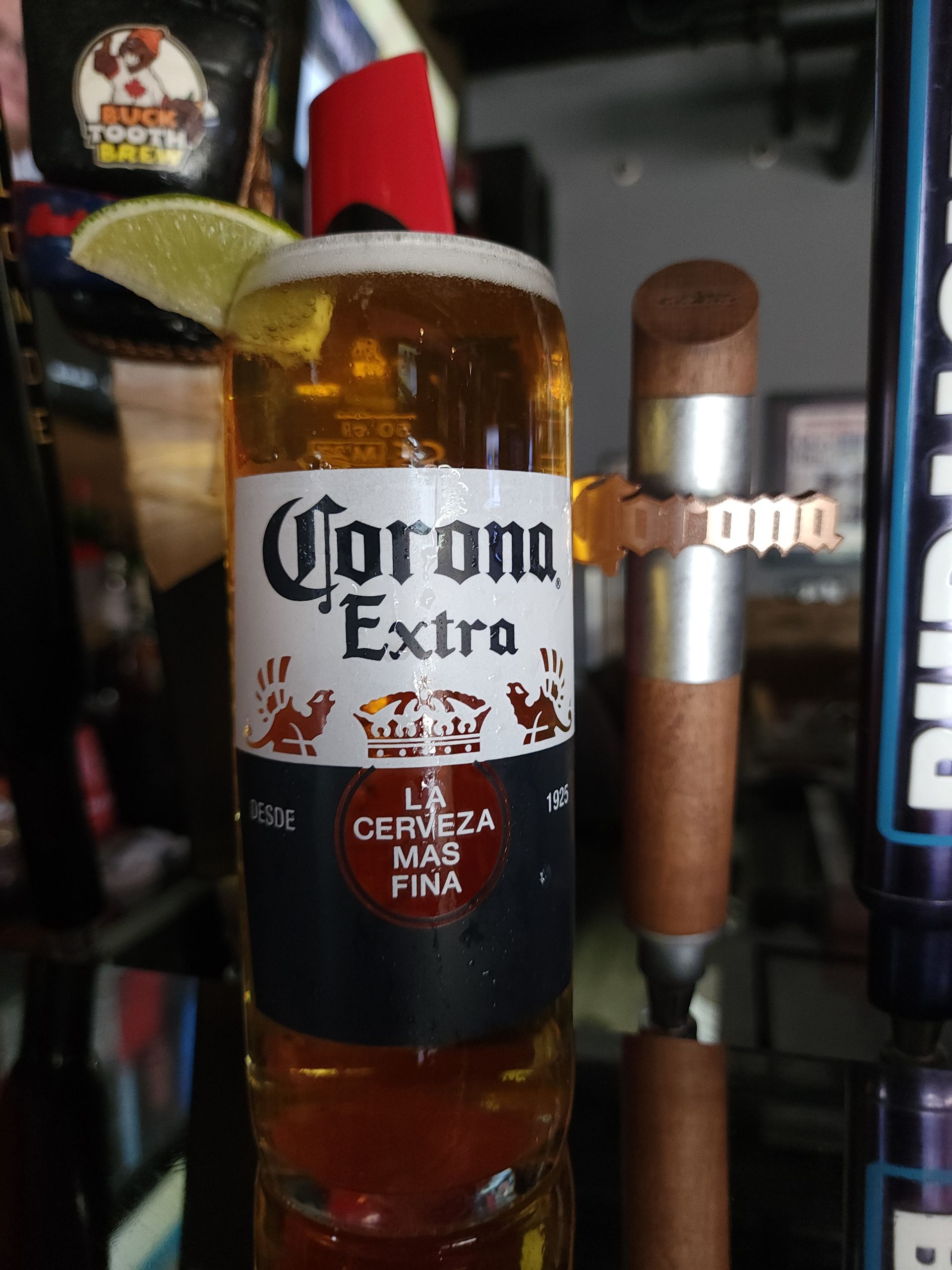 Corona Extra beer bottle with amber liquid and red cap on a bar shelf