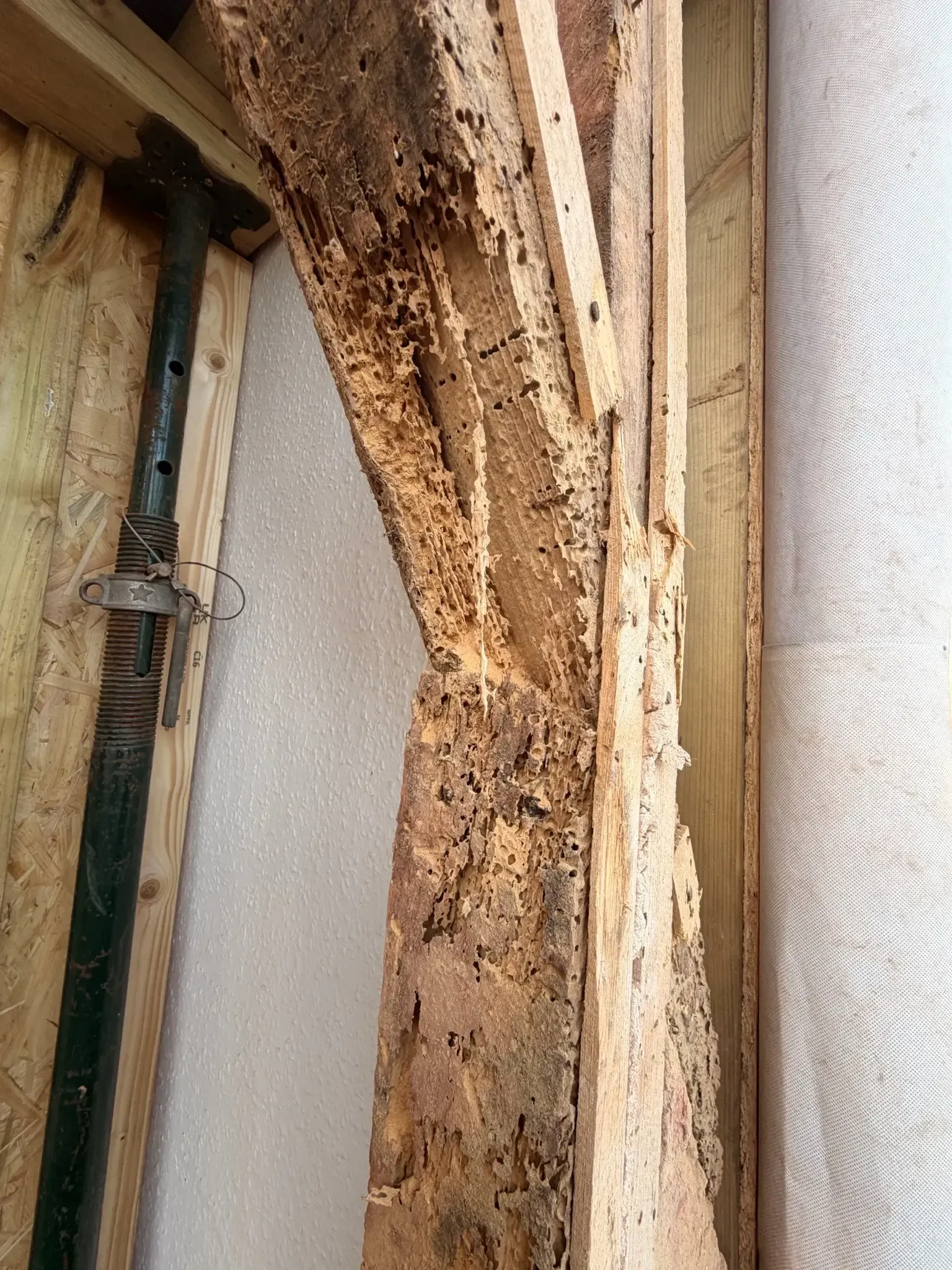 Close-up of a damaged wooden beam with extensive rot and insect holes near a wall and window frame