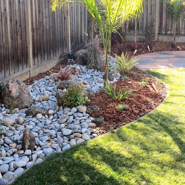 Landscaped backyard with palm tree, rocks, mulch, and green lawn along a wooden fence