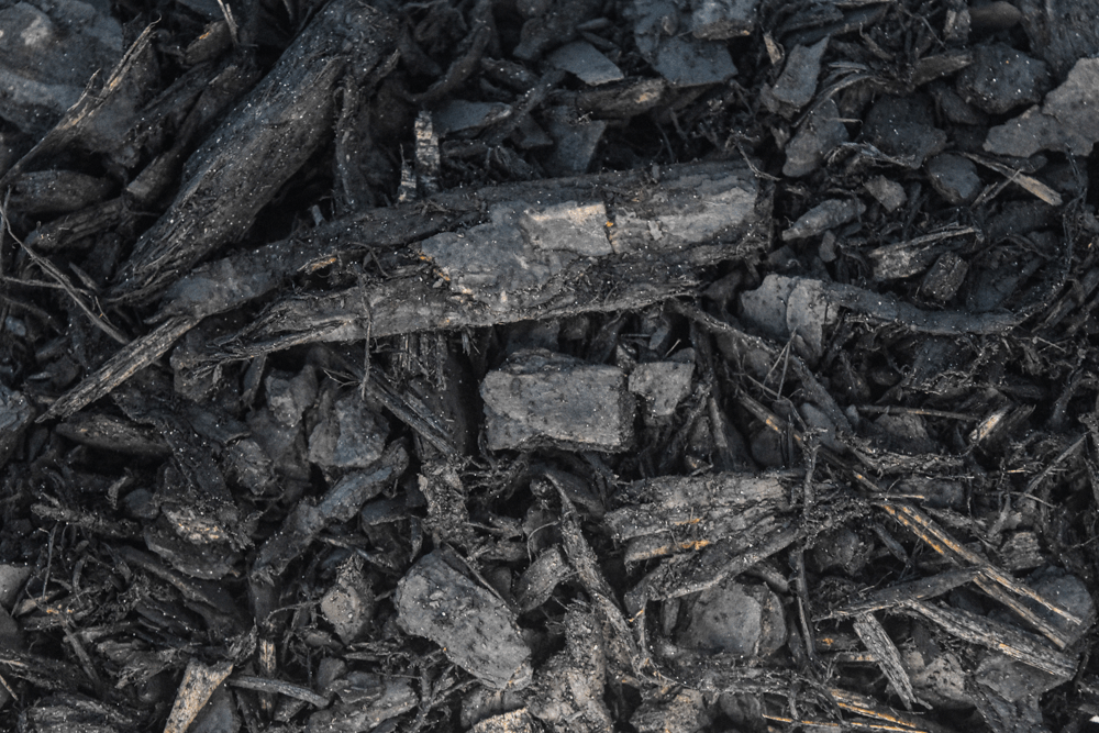 Close-up of dark wood chips and bark mulch