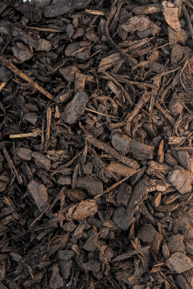 Close-up of dark brown wood chips mulch covering the ground