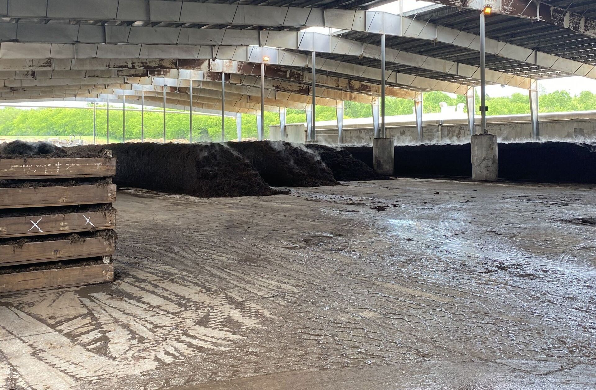 Long steaming compost mounds inside a warehouse.