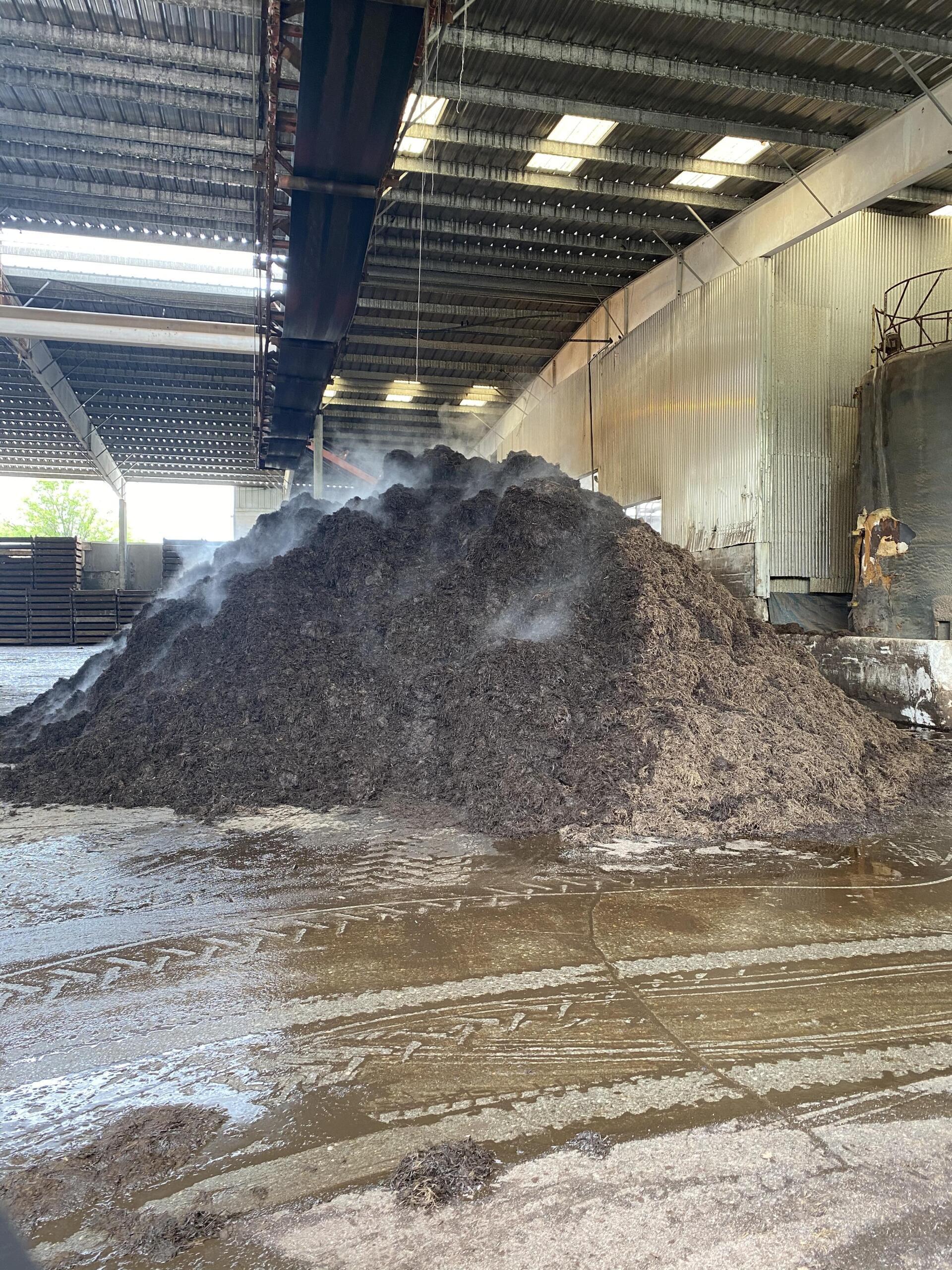 Steaming pile of dark compost in a warehouse.