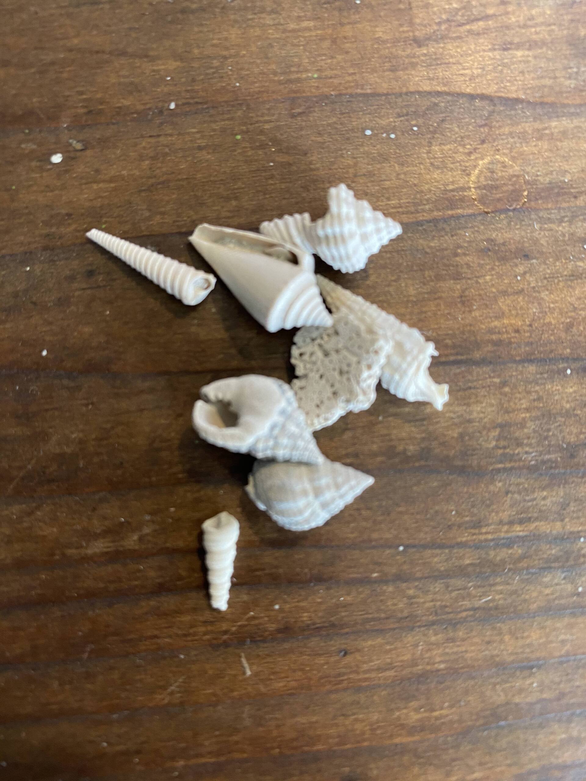 Assorted small white seashells scattered on a wooden table.