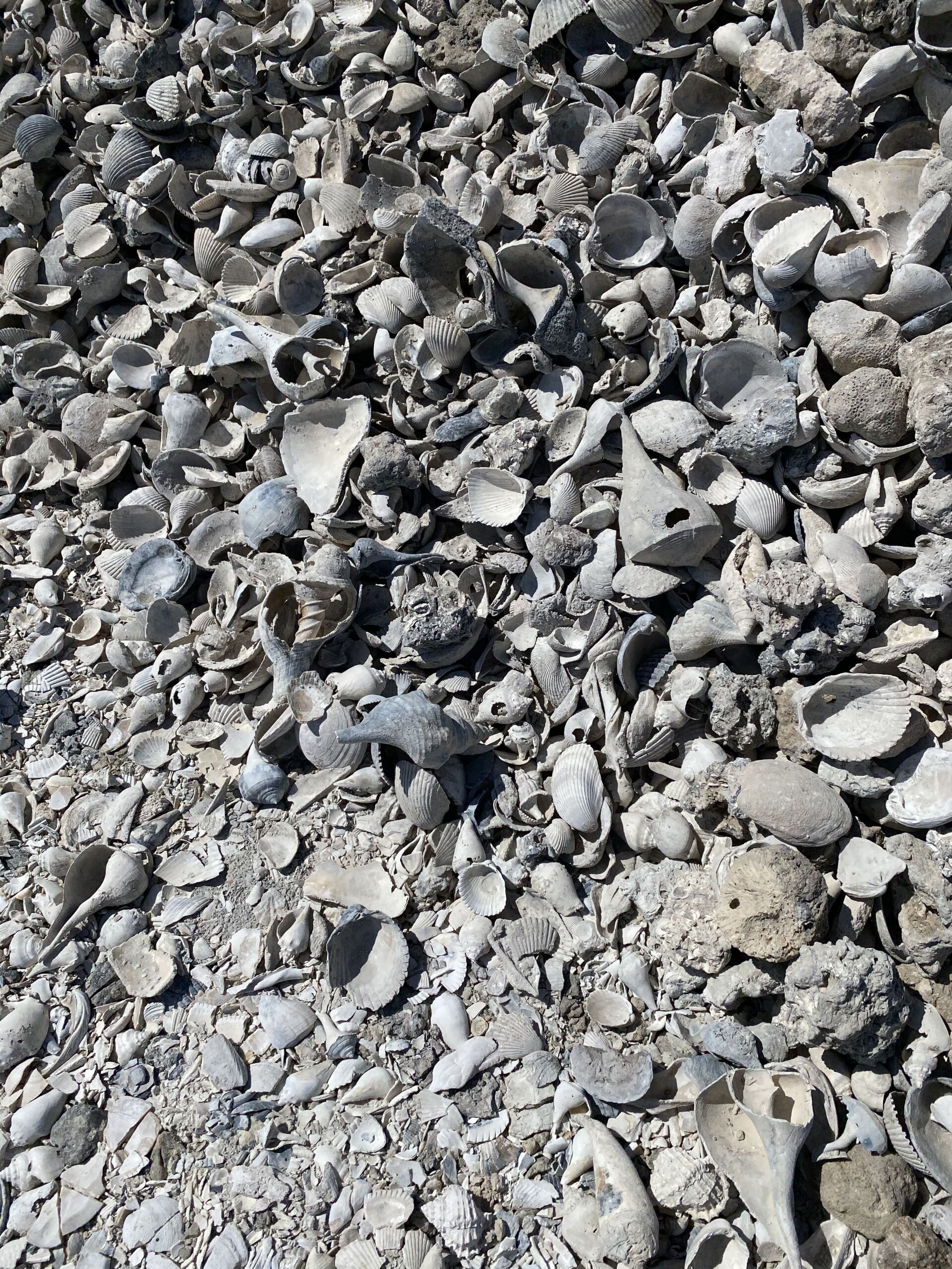 Close-up of gray gravel and crushed stone ground texture