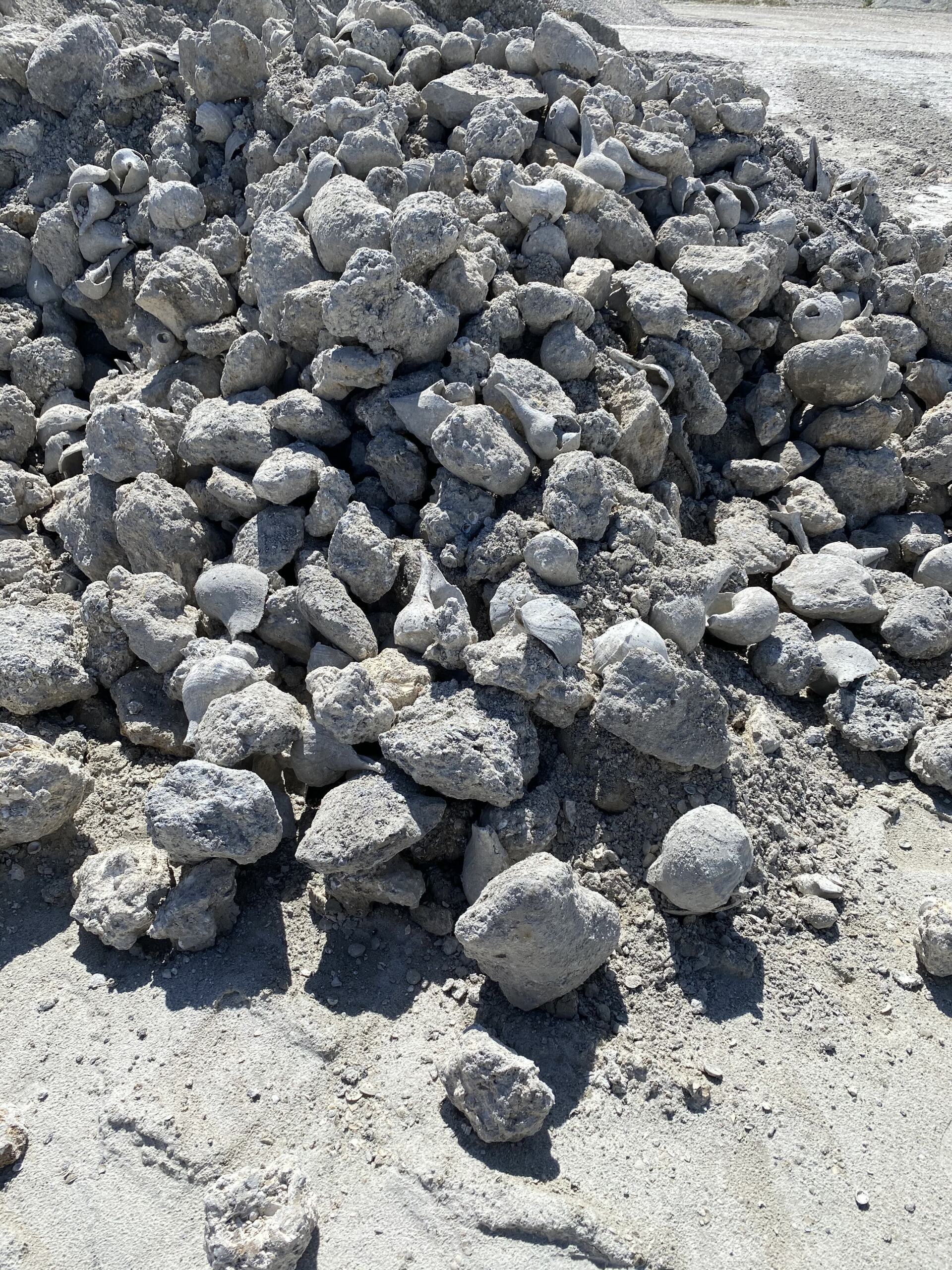 Pile of gray gravel or small rocks on sandy ground