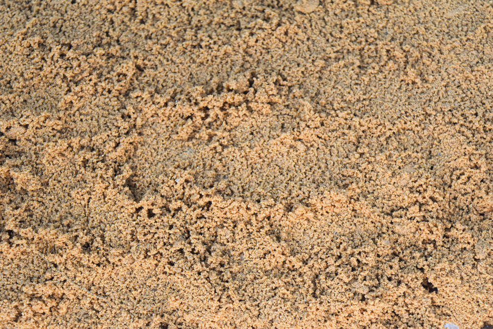 Close-up of fine tan landscaping sand