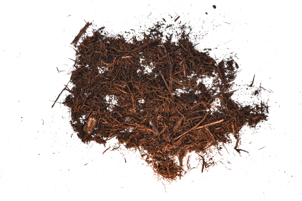 A small pile of dark brown dried twigs and organic debris on a white background