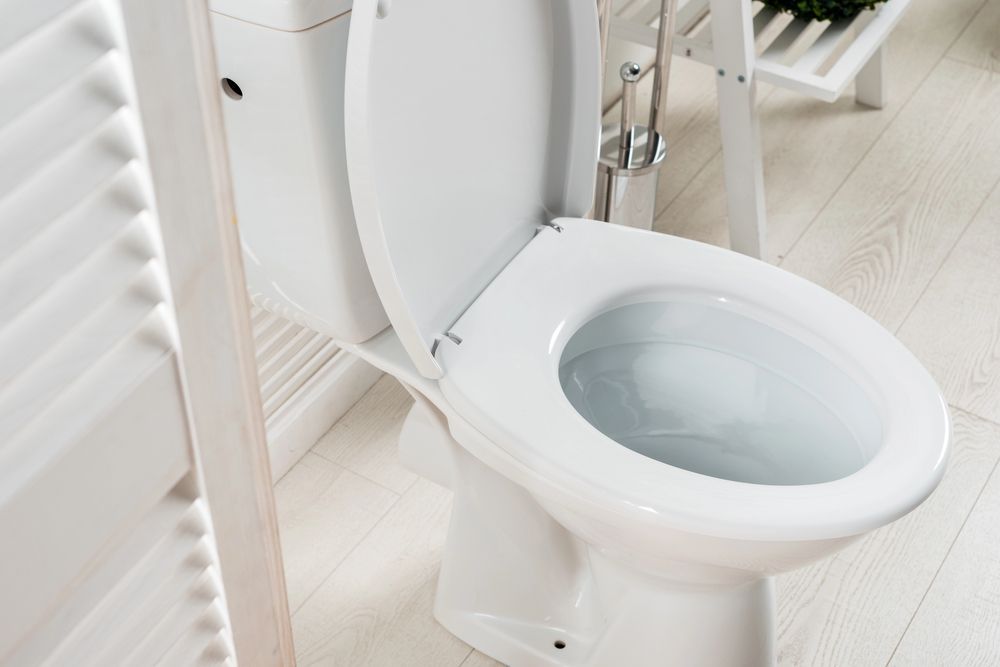 Inodoro blanco con tapa abierta en un baño luminoso con suelo de madera clara y decoración blanca.