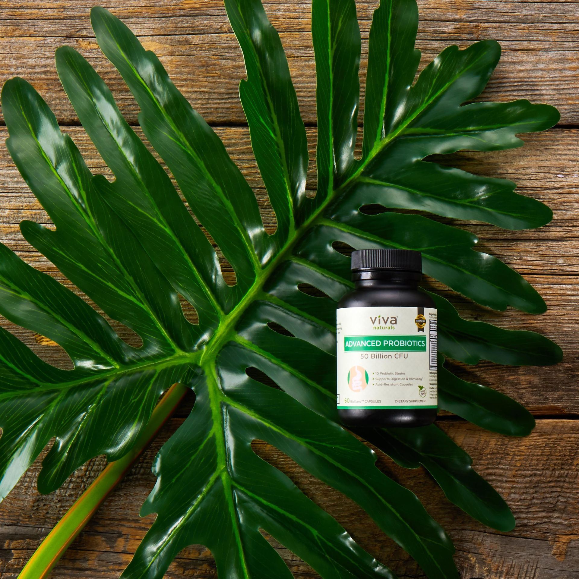 A bottle of vitamins sits on a palm leaf