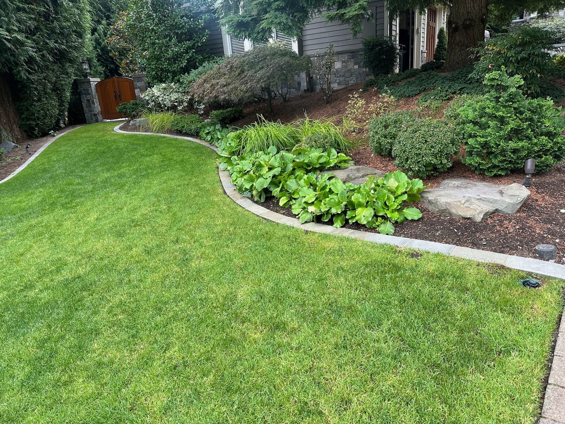 Lawn Installation