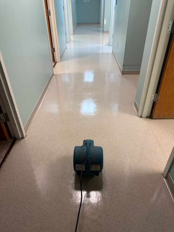 Small black floor-cleaning robot on a shiny hallway floor in a building corridor.