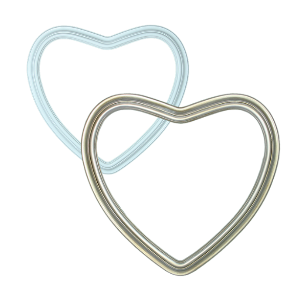 heart shaped frames for flower preservation