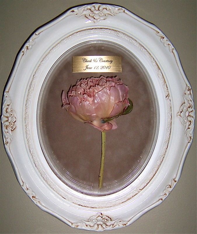 Pink flower in an ornate white oval frame on a wall, with a small plaque above it.